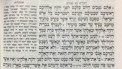 צילום: חדשות 0404 הווה, עבר, עתיד – פרשת נצבים
