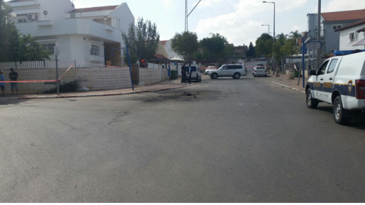 צילום: בועז צברי ממשיכים להיות זנב / דעה