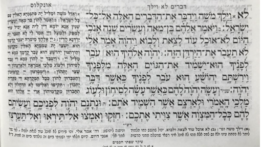 צילום: חדשות 0404 הליכה היא תשובה / פרשת וילך