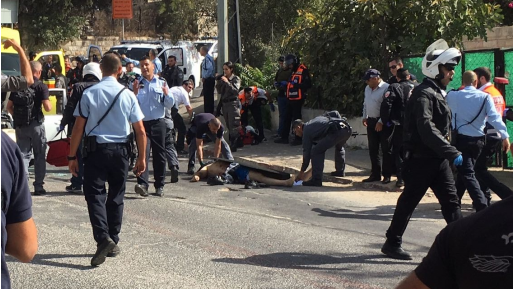 צילום: ג׳וש וונדר צפו: ערבים תיעדו את פיגוע הירי וחיסול המחבל