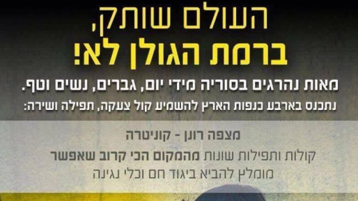 צילום: פייסבוק ישראלים יפגינו נגד הטבח בסוריה. גולשים: "חסר להם בורג"
