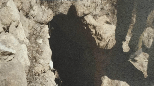 צילום: תקשורת שב מחבלים מטייבה נעצרו: נשבעו לדאעש ותכננו פיגועים
