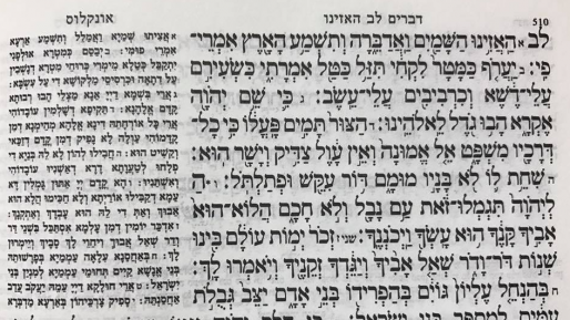 צילום: חדשות 0404 הסתוריה או הסטוריה? / פרשת האזינו