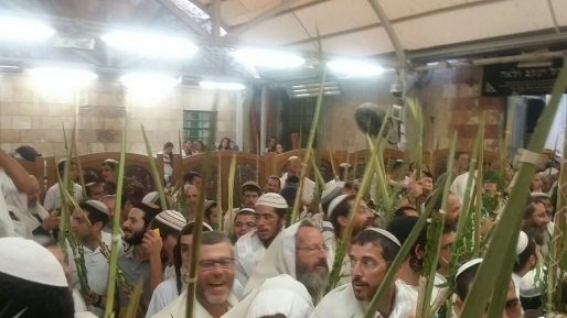 צילום: מנהלת מערת המכפלה צפו: תפילה ושירה מרגשת במערת המכפלה
