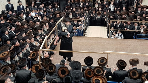 צילום: חדשות 0404 צפו: הכנסת ספר תורה בחסידות בויאן