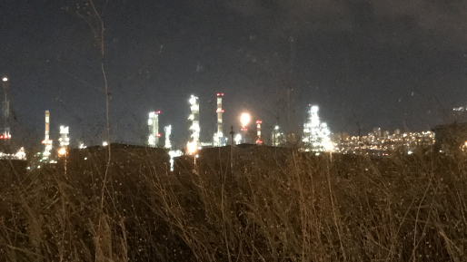 צילום: חדשות 0404 בעקבות כתבי האישום: בז"ן, כאו"ל וגדיב הורשעו בגרימת זיהום אוויר ונקנסו ב-1.54 מיליון ש"ח