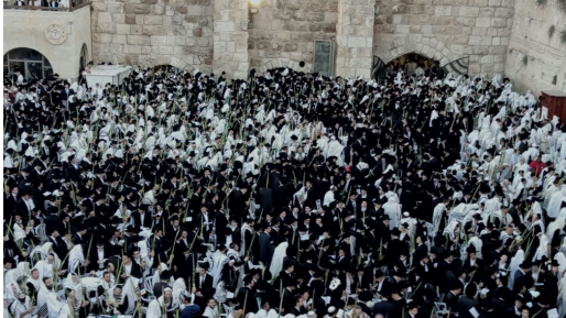 צילום: דן עובדיה בלולבים וטליתות: תפילת שחרית בכותל המערבי