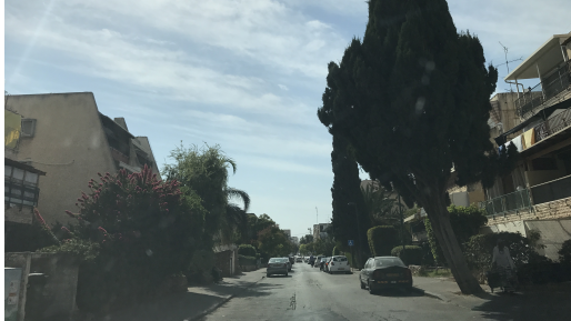 צילום: חדשות 0404 תכנית השלמת השכלה ללא עלות במכללת אתא