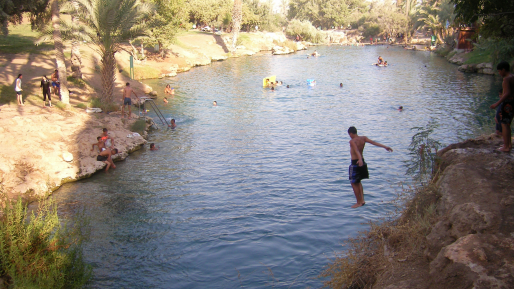 צילום: Fekix, ויקיפדיה ערבי נעצר בחשד למעשים מגונים בשמונה נערות בסחנה