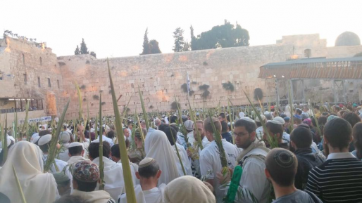 צילום: נתנאל אמסלם אלפים לקחו חלק בתפילה עם ארבעת המינים בכותל