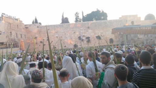 אלפים לקחו חלק בתפילה עם ארבעת המינים בכותל