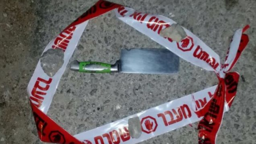 צילום: דובר צה סיכום חדשות השבת