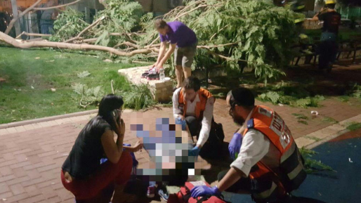 צילום: תיעוד מבצעי מד שלושה פצועים מקריסת עץ ברמת גן