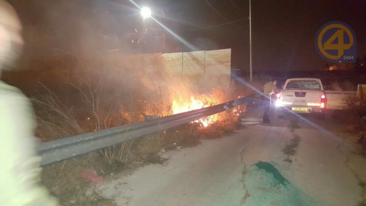 צעירי עפרה