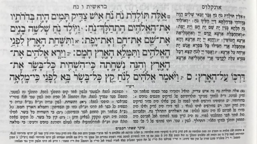 צילום: פרשת השבוע: נח בשלוש מערכות