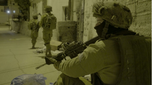 צילום: דובר צה שישה ערבים מבוקשים נעצרו ביהודה ושומרון