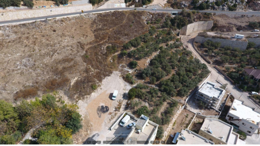 צילום: תנועת רגבים צפו: טרקטורים נוגסים בבית הקברות היהודי העתיק בפקיעין