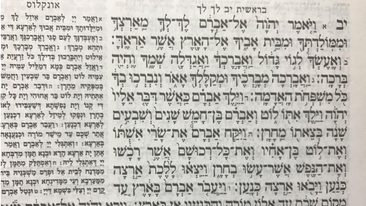 צילום: פרשת לך לך: כמה שערים היו בחרן?