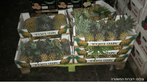 צילום: דוברות המשטרה ביצע גניבות עם משפחתו ונעצר