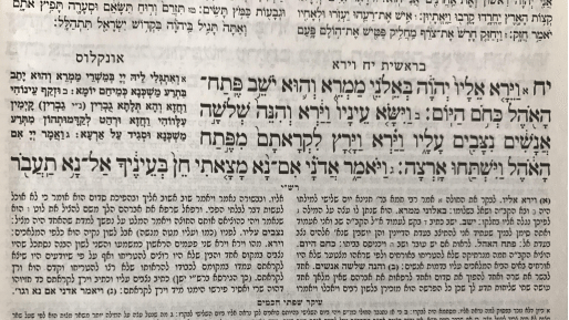 צילום: 0404 ניסיון מאוזן? על פרשת השבוע וירא