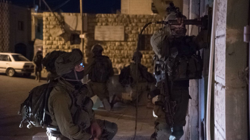 צילום: דובר צה נעצרו 7 ערבים מבוקשים שעסקו בטרור