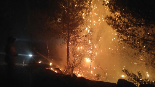 צילום: דוברות כבאות והצלה, מחוז חוף בכיבוי מבהירים: עדיין לא הסתיימה חקירת שאר השריפות