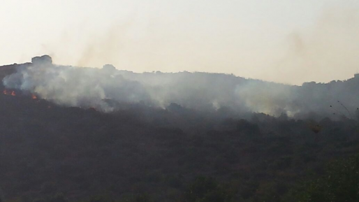 צילום: דורון משה שריפת חורש פרצה סמוך לשקד בצפון השומרון