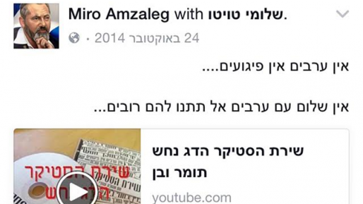 צילום: פייסבוק מח"ש לא תפתח בחקירה נגד שוטר שהתחזה לפעיל ימין והסית נגד ערבים