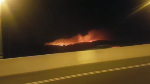 צילום: יגיל עמר שריפת חורש פרצה סמוך לנווה שלום – תושבים פונו