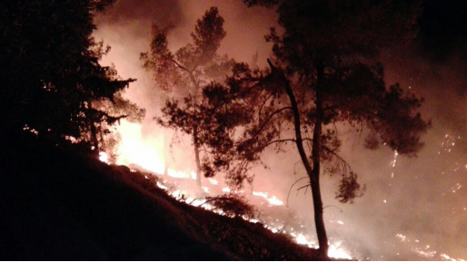 צילום: ביטחון עציון הטרור הערבי: שתי הצתות יער באזור גבעות