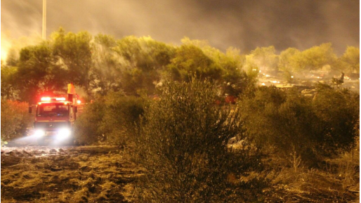 צילום: צלם סת ארדן על גל השריפות: ייתכן שמדובר בהצתות בחלק מהמקרים