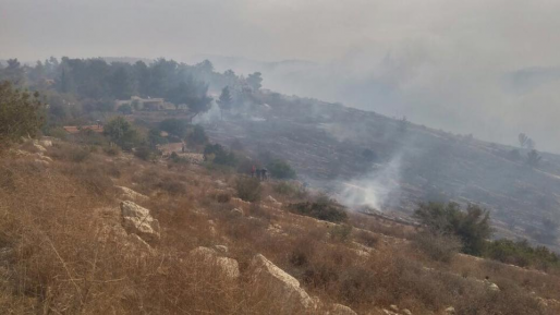 צילום: דוברות המשטרה נעצרו ארבעה פועלים בחשד למעורבות בשריפה בנטף