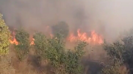 צילום: 0404 פיגוע הצתה: שריפה פרצה סמוך לגדר כרמי צור עקב זריקת בקבוק תבערה