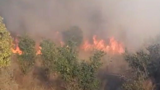 פיגוע הצתה: שריפה פרצה סמוך לגדר כרמי צור עקב זריקת בקבוק תבערה