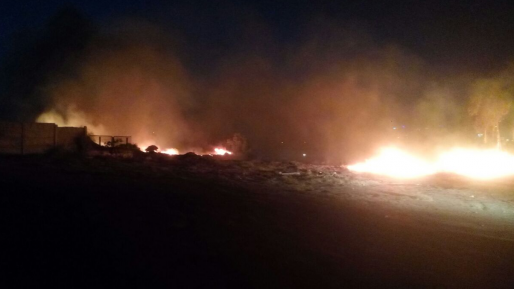 צילום: רן לוי גל השריפות נמשך: עצים וחורש עולים באש באבן יהודה