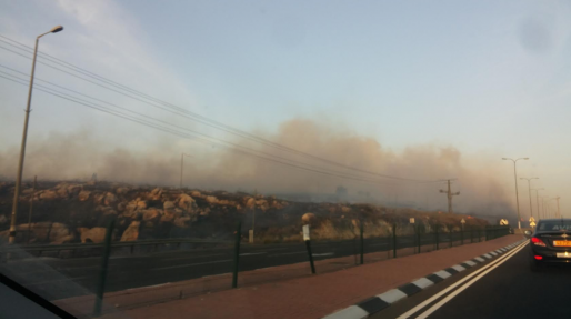 צילום: יואב ארדן: ״חצי מהשריפות – הצתות״. שקד: ״דין מצית – 20 שנות מאסר״