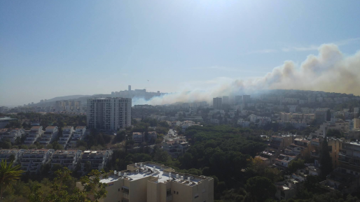 צילום: עדן משיח ארבע שריפות בחיפה – תושבים ותלמידים פונו