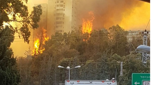 צילום: יהב לנתניהו: ״בירכתי אותך בתפילה על המטוסים שעברו שם״