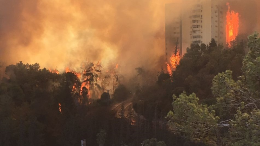צילום: מבצע איסוף פסולת מסוכנת מבתים שנפגעו בשריפה בחיפה