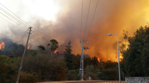 צילום: חדשות 0404 מרכז רפואי בני ציון: עד כה מטופלים 32 נפגעי שריפה
