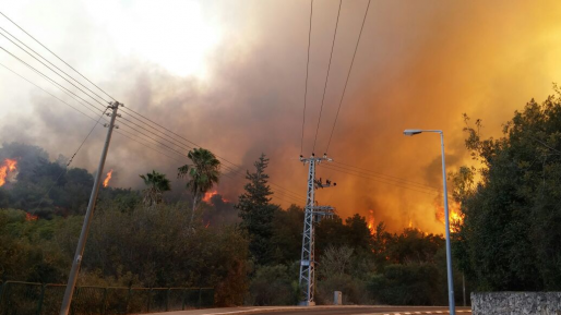 טרור ההצתות: עוצר יציאות במערך הלוחם וההכשרות בצה״ל