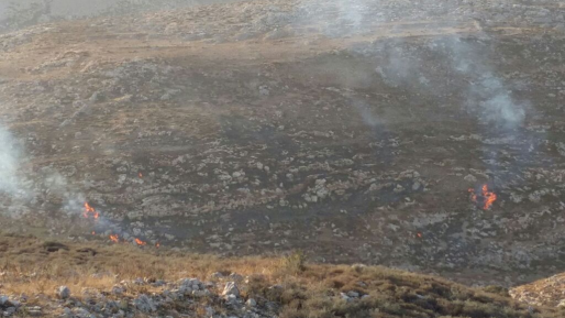 צילום: מוקד 443 פיגוע הצתה: צמיגים וקוצים הועלו באש סמוך לכוכב יעקב