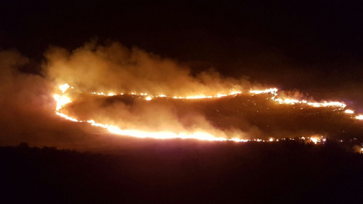 צילום: רכז ביטחון עלי חוסיין טרור ההצתות:שריפות ביער מגידו, בצומת סומך, צבעון ונחף