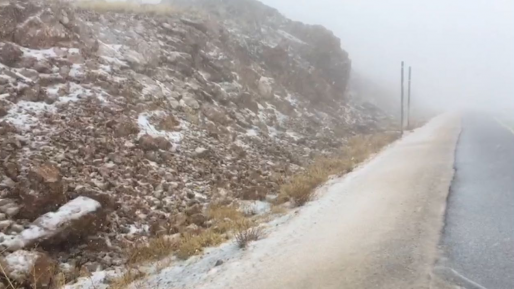 צילום: לירון מילס - אתר החרמון צפו: שלג יורד בחרמון