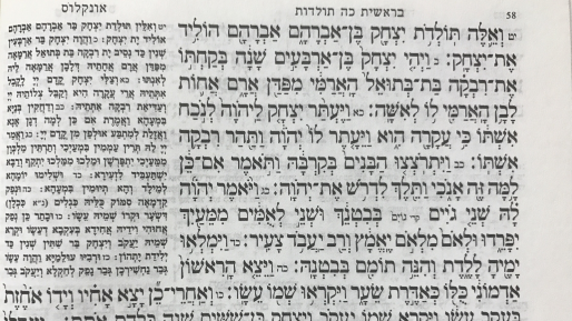צילום: חוק שימור הלאומים – על פרשת תולדות