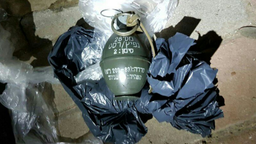 צילום: דוברות המשטרה שני רימוני רסס הושלכו לעבר בית בשאר יישוב – חתול נפגע ומת