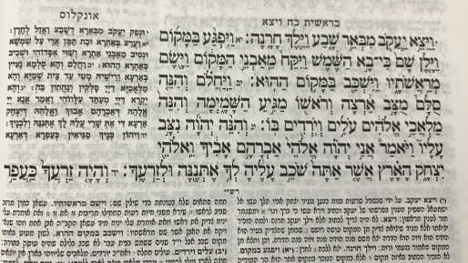 צילום: התרמילאי הראשון – על פרשת השבוע "ויצא"