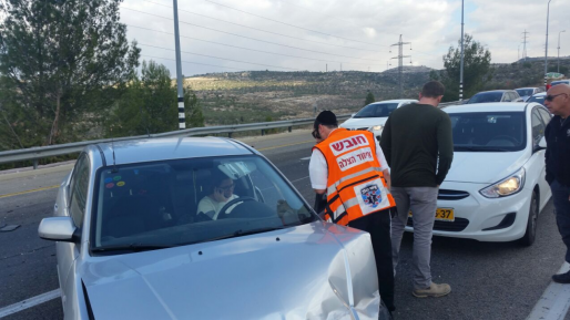 צילום: יואל רוט אישה התנגשה בגדר הפרדה בגלל חמורים על כביש 443