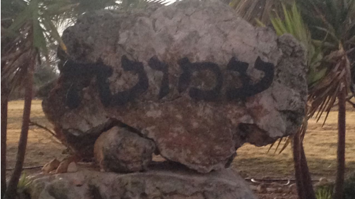 צילום: שלמה מור בהמלצת בג״ץ נמחקה העתירה: מגורשי עמונה ונתיב האבות יזכו לפיצויים