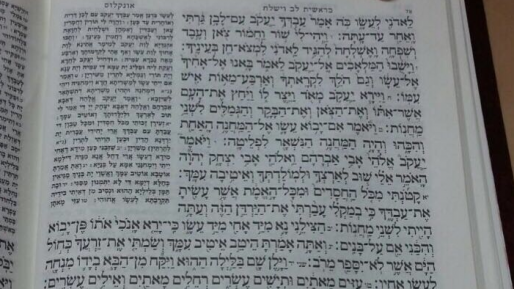 צילום: . אנחנו רמאים? פרשת השבוע ״וישלח״